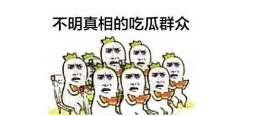 小朋友解读吃瓜群众视频,小观众眼中的“吃瓜群众”现象