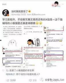 大傻子吃瓜群众视频播放,揭秘热门视频背后的疯狂播放量
