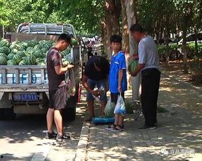 郑州中牟吃瓜群众事件视频,一场网络舆论的风波与反思