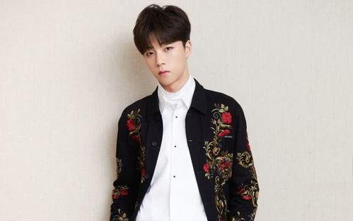 追星吃瓜陈立农视频,揭秘明星幕后生活