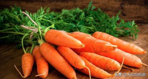 大瓜头吃胡萝卜视频,胡萝卜美食之旅