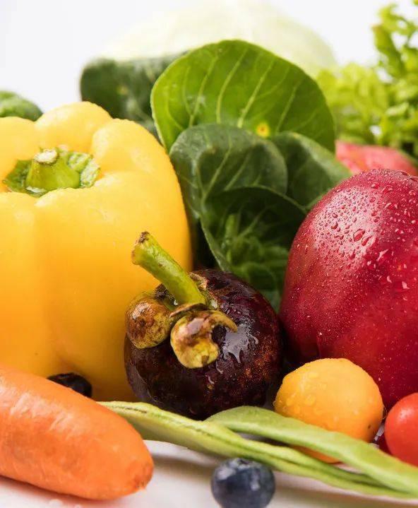 带你吃瓜食物动物版视频,带你探索带你吃瓜食物动物版