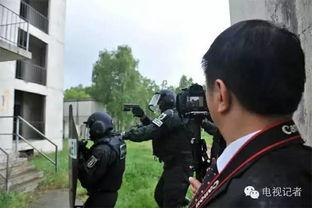 吃瓜公安局记者视频,视频背后的真相与反思