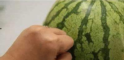 吃毛瓜要刮瓤吗视频讲解,揭秘是否需要刮瓤