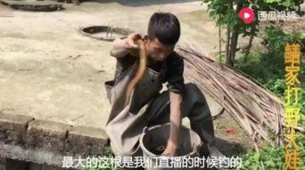 农人吃土瓜视频大全集