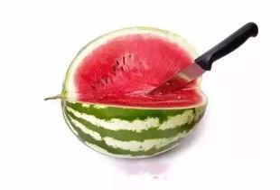 吃瓜吐籽小技巧视频播放