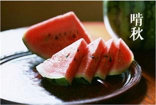 三四个人吃瓜视频