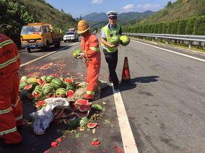 丽水吃瓜群众事件视频播放