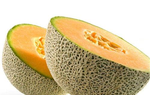 猫吃木瓜哈密瓜好吗视频,揭秘猫儿对木瓜和哈密瓜的喜爱之谜