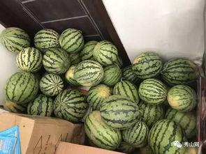 西瓜群吃瓜视频,揭秘网络社交的趣味与争议