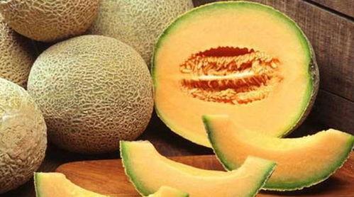 胖哥吃哈密瓜完整视频,趣味横生美食体验