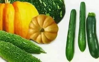 红色瓜种子可以吃吗视频,揭秘可食用之谜