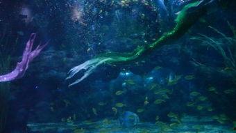 吃瓜美人鱼视频下载免费