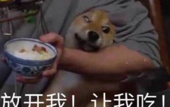 老乡喜欢吃瓢瓜吗视频,老乡们对瓢瓜的喜爱之谜