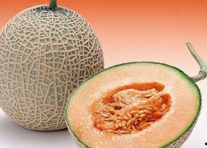 鸡鸭可以吃哈密瓜吗视频,鸡鸭食用哈密瓜的安全性探讨