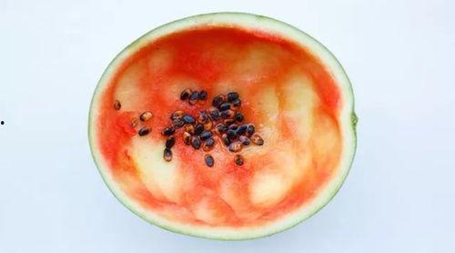 勺子吃瓜会不甜吗视频讲解,勺子吃瓜为何不甜？视频讲解带你一探究竟