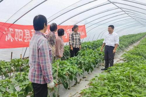 沭阳律师吃瓜视频,法律界人士的“另类”休闲时光