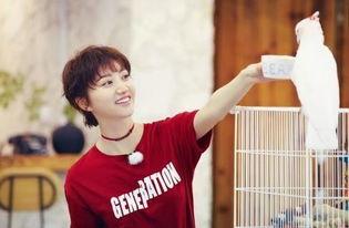 赵英俊景甜吃瓜视频