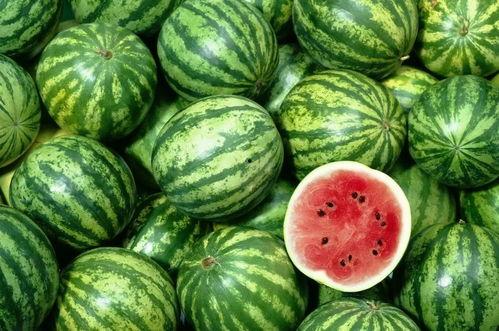 老表卖西瓜吃瓜视频大全,视频大全趣味回顾