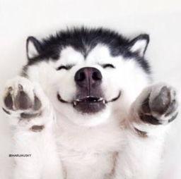 吃瓜合集视频资源免费,盘点热门合集视频资源