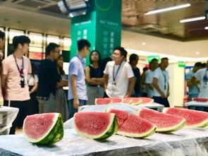 武汉吃瓜大赛最新消息视频,精彩瞬间大盘点！