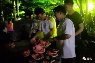 吃瓜兄妹事件真相视频,揭秘背后真相与惊人内幕