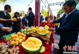 新乡吃瓜事件视频最新进展,最新视频揭露惊人内幕，真相逐渐浮出水面