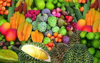 海南吃瓜爆料是真的吗视频,真相揭秘还是网络谣言？