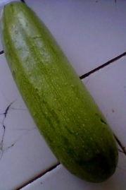 笋瓜吃瓜视频网站,趣味无限，欢乐满载