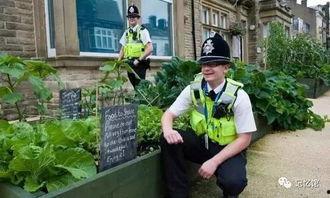 农村小镇吃瓜视频,揭秘农村吃瓜文化的魅力瞬间