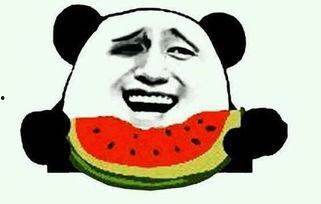 小肥篮不准吃瓜原视频