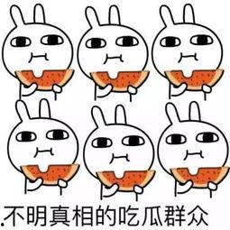 熊吉吃瓜吐舌视频大全下载