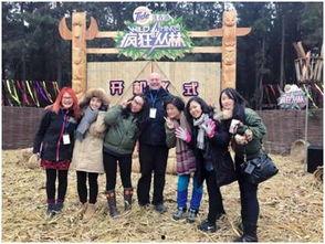 东北团队吃瓜视频,一场接地气的欢乐盛宴